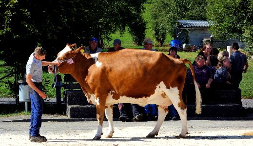 DSC07849 