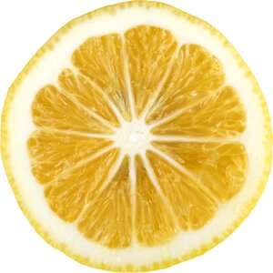 Yellow slice white background photo