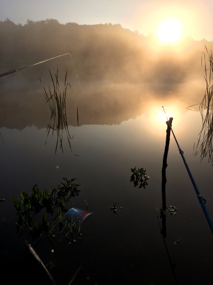 Fishing sunrise nature
