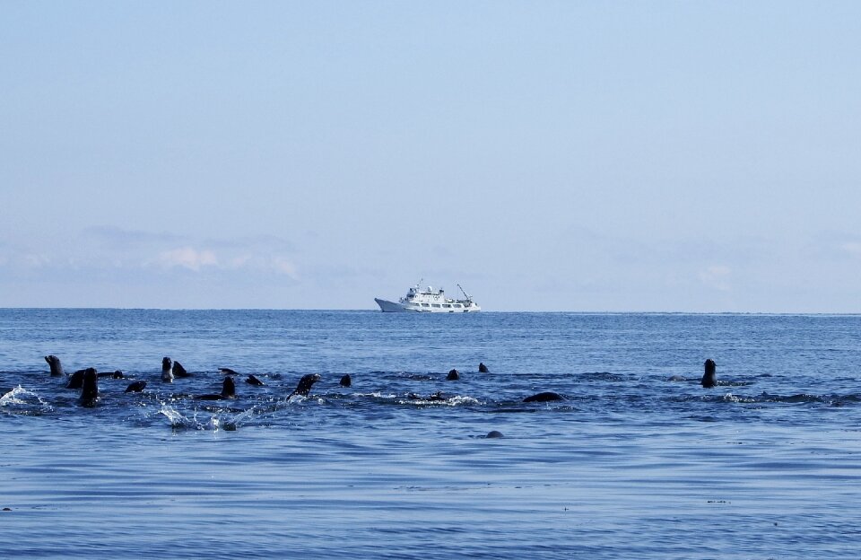 Harem sea ​​stones calm
