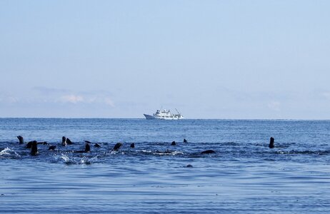 Harem sea ​​stones calm