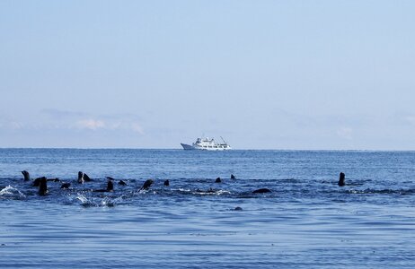 Harem sea ​​stones calm photo