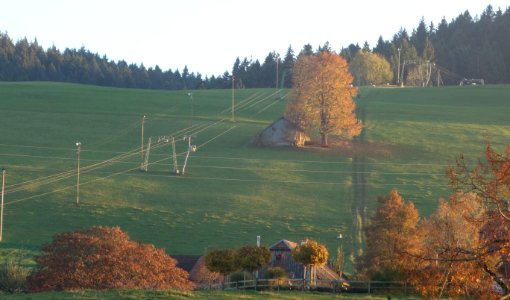 DSC05229 