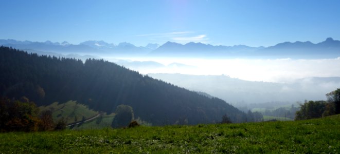 DSC05216 