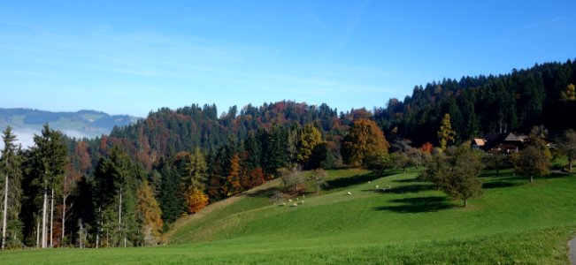 DSC05220 