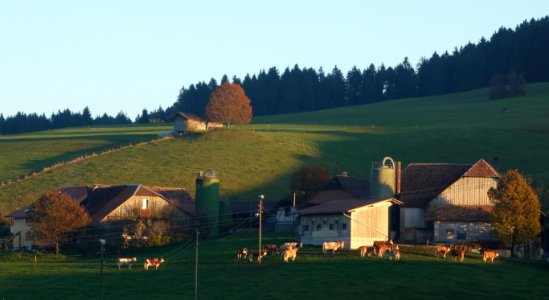 DSC05225 