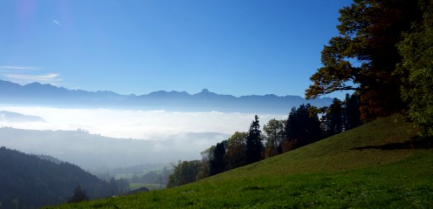 DSC05217 