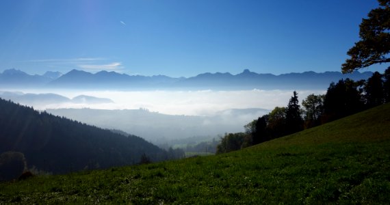 DSC05215 