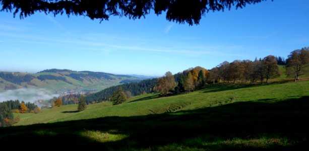 DSC05211 