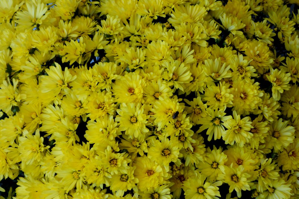 DSC05209 