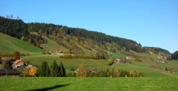 DSC05207 
