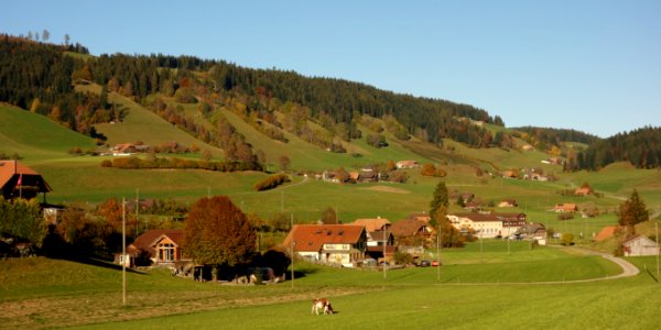 DSC05202 