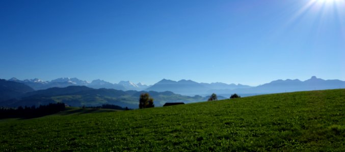 DSC05195 