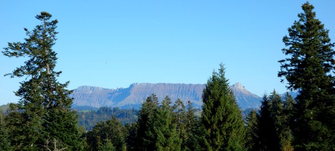 DSC05193 