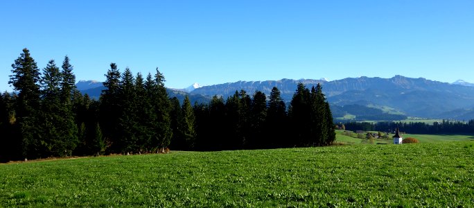 DSC05194 
