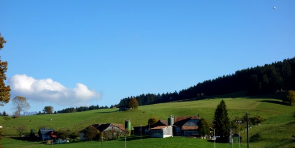 DSC05190 