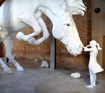 Art installation art installation