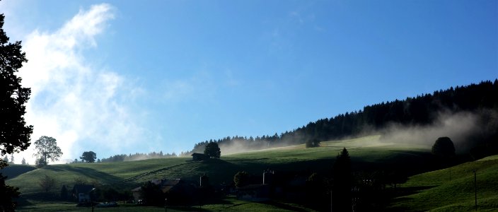 DSC03520 