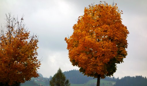DSC01722 