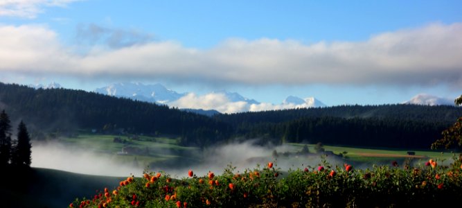 DSC01314_bearbeitet-1 