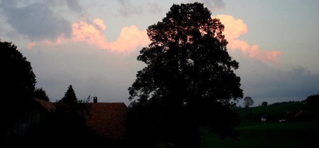 DSC04639 