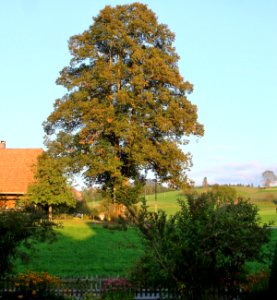 DSC04659 