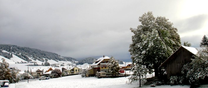 DSC03176 