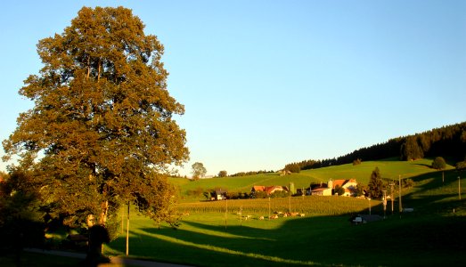 DSC02713 