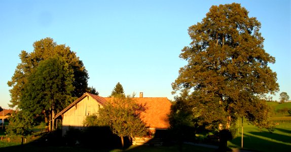 DSC02714 
