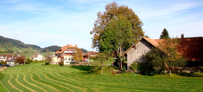 DSC01945 (2) 