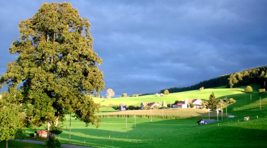 DSC01555 (2) 