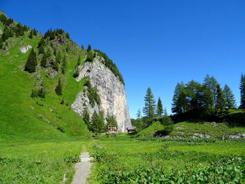 Migratory path landscape meadow
