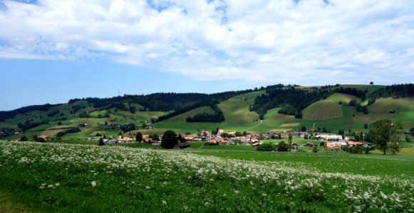 DSC07996 