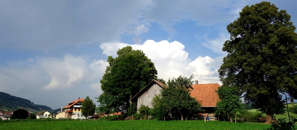 DSC00610 