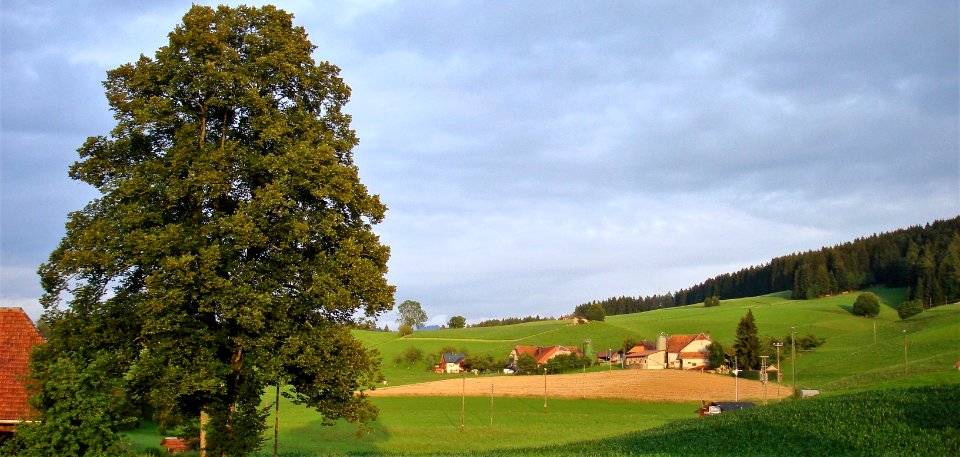 DSC04580 
