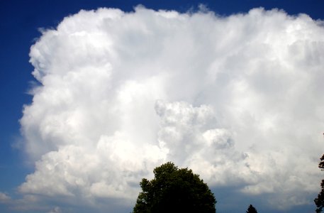 DSC02549 