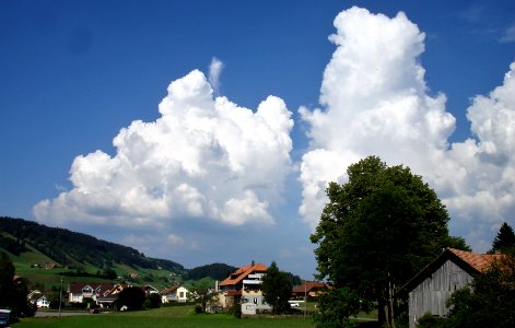 DSC02546 