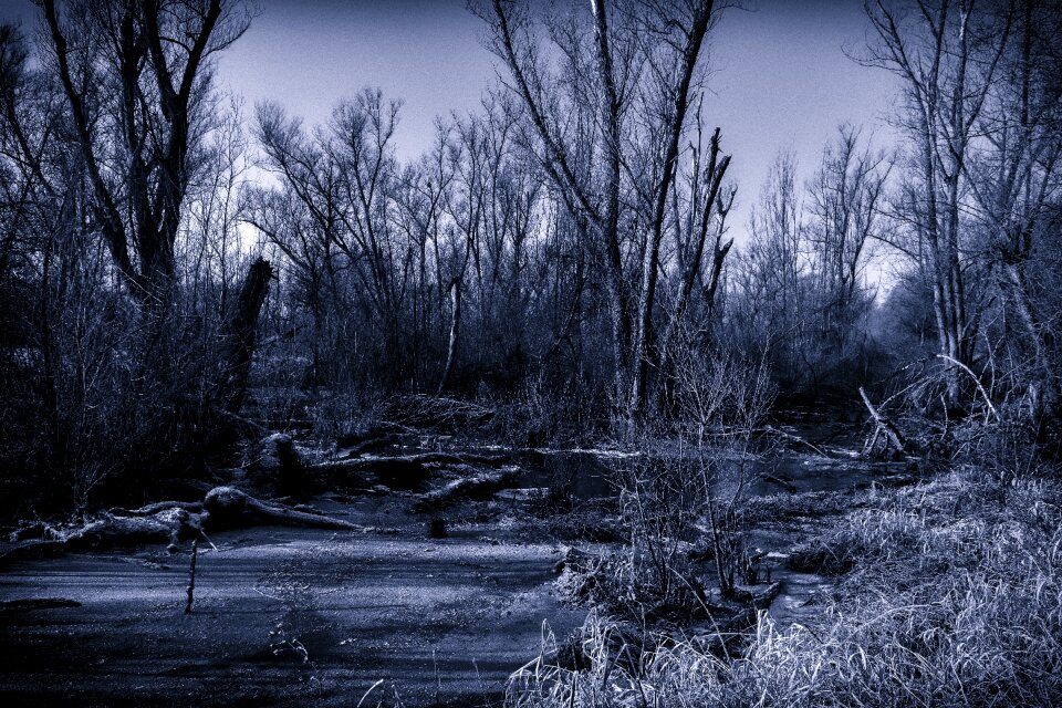 Full moon moor mystical