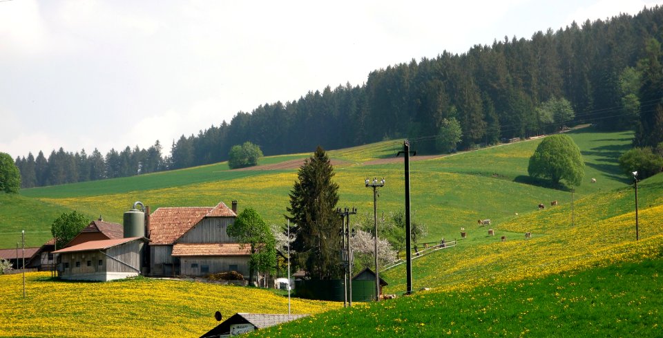 DSC04690 