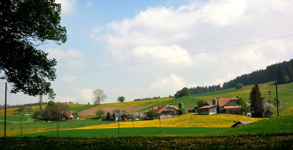 DSC04689 