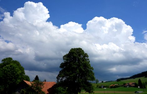 DSC07471 
