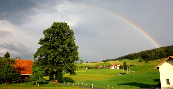 DSC00547 