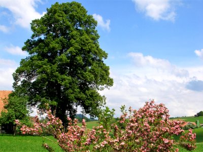 DSC04115 
