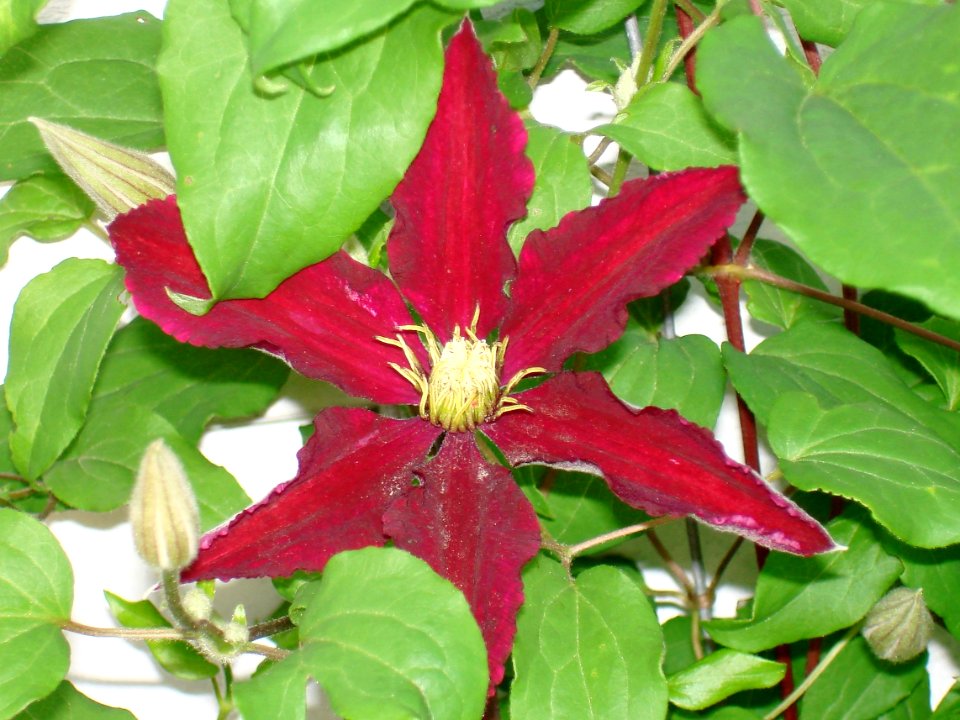 DSC04084 