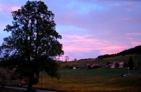 DSC03934 