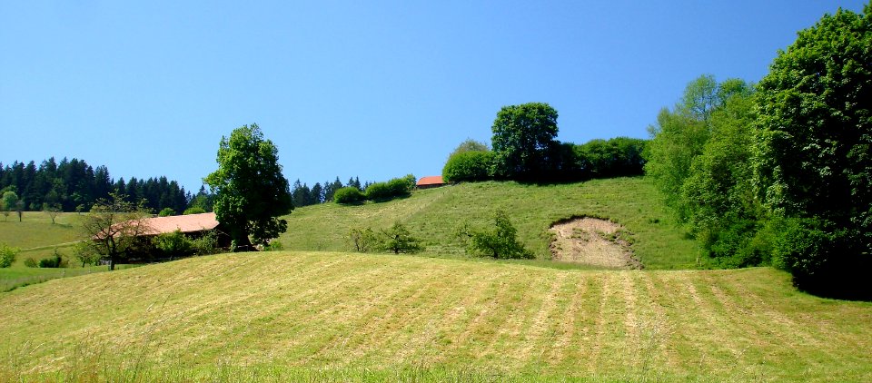 DSC02317 