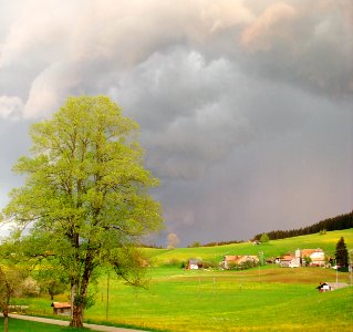 DSC02184 