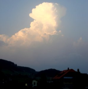 DSC01229 