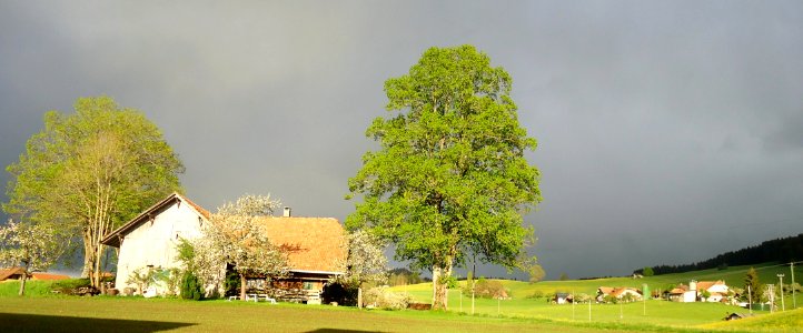 DSC03022 