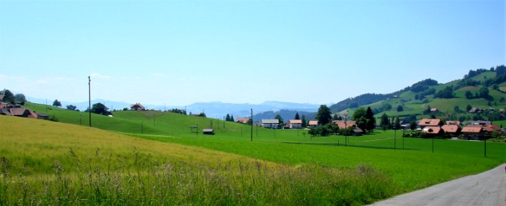 DSC01203 